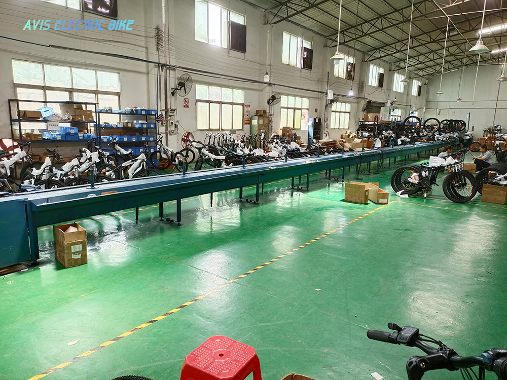 Guangzhou AVIS International Trade Co., Ltd. 工場生産ライン